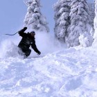 skier-research skier-research