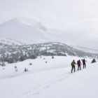 Backcountry