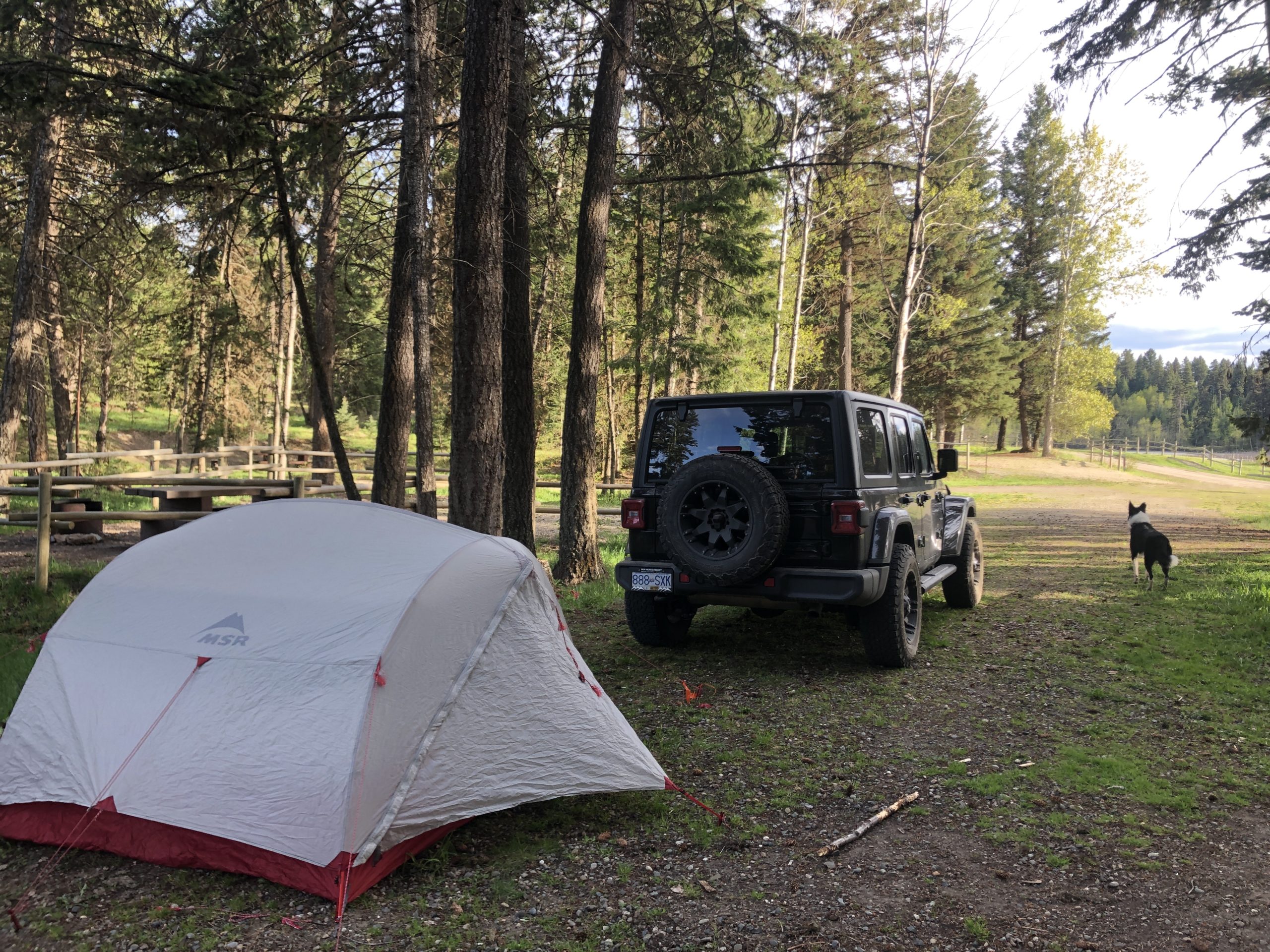 Restrictions continue as B.C. rec sites camping reservations resume
