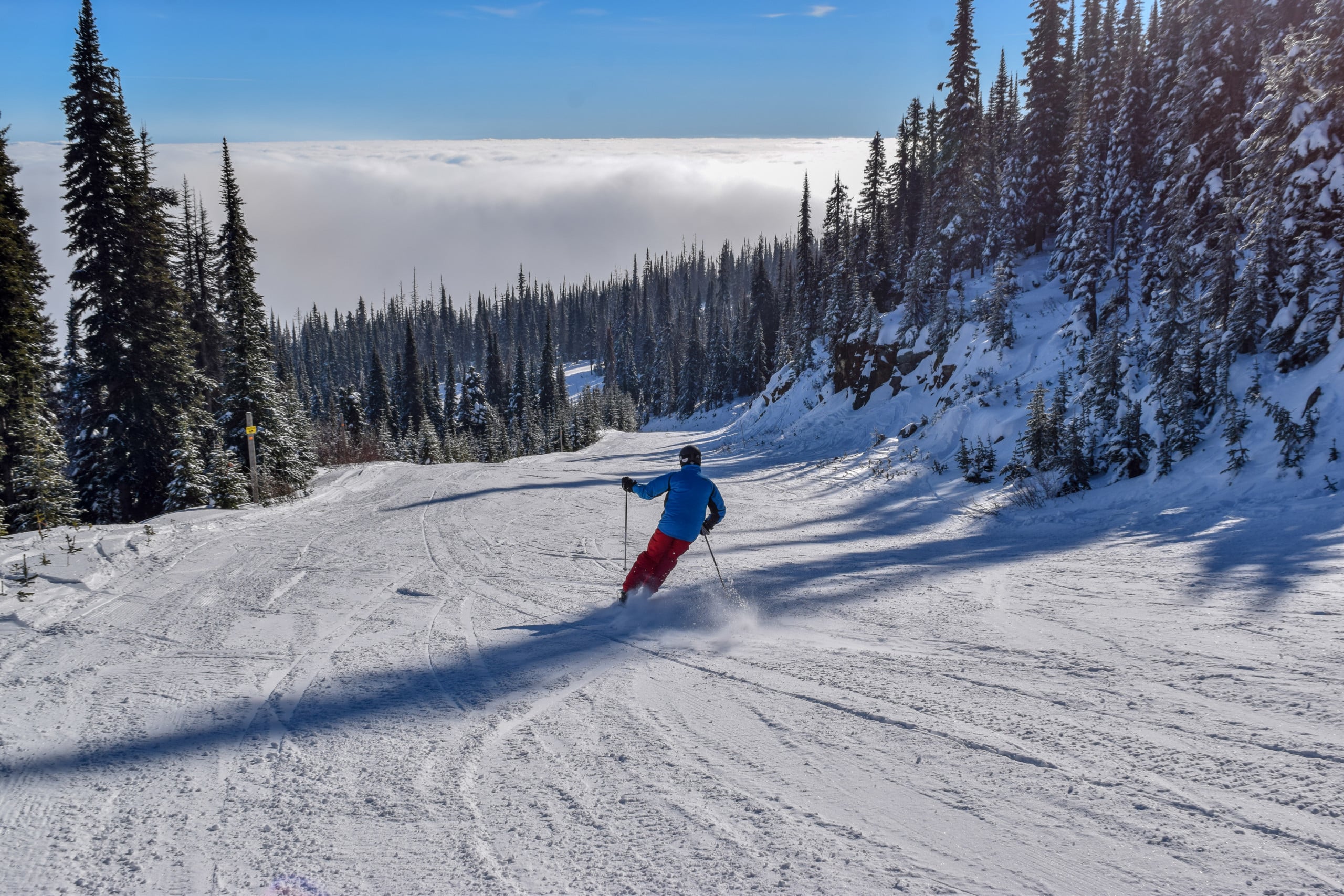 A skier wears a blue ski jacket and red snow pants as they descend a ski run. The ski run has trees along the path dusted with snow and a blue sky with clouds in the background.