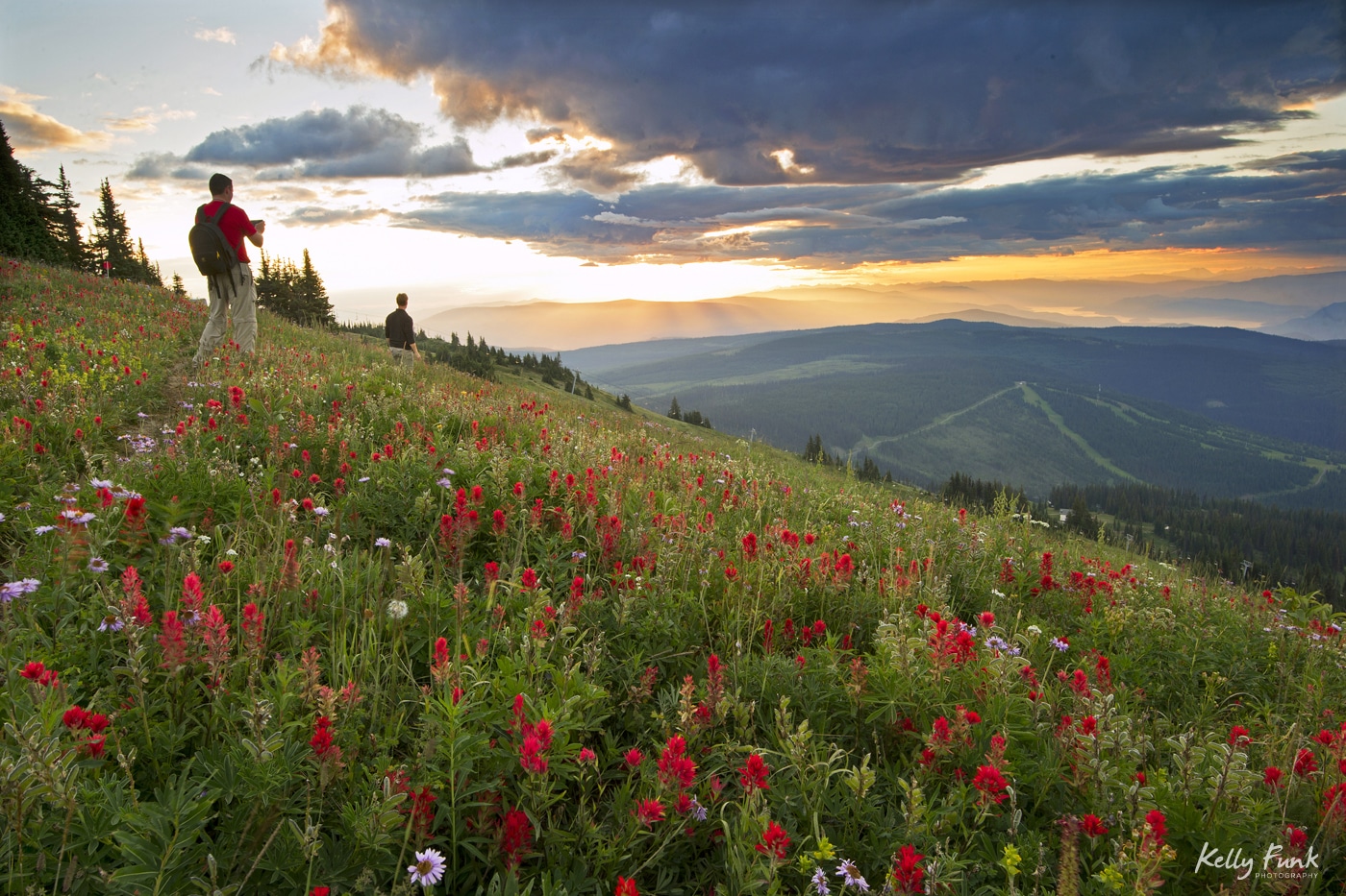 Sun Peaks' beautiful and accessible alpine blossom meadows make the perfect natural classroom for budding photographers. - Photo Kelly Funk