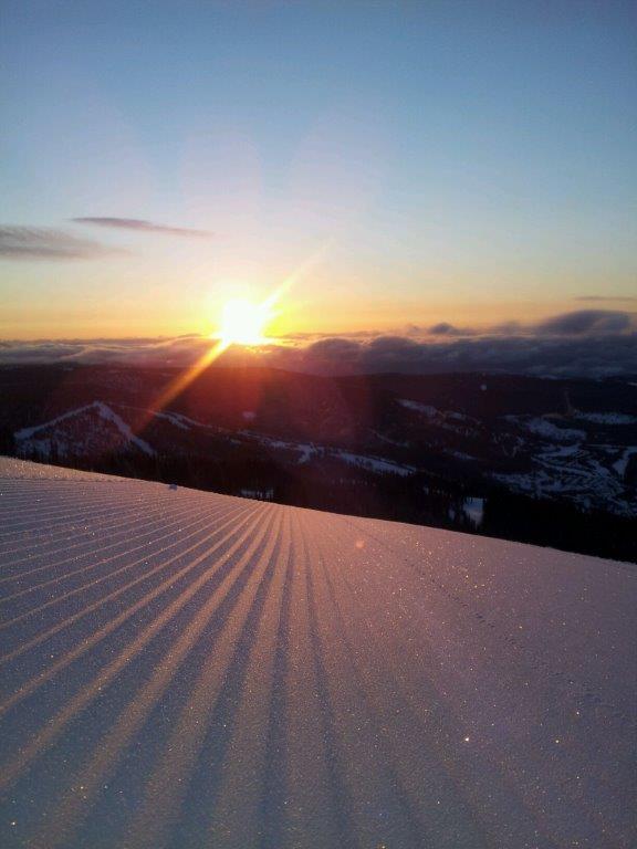 Photo by Brenda Carter