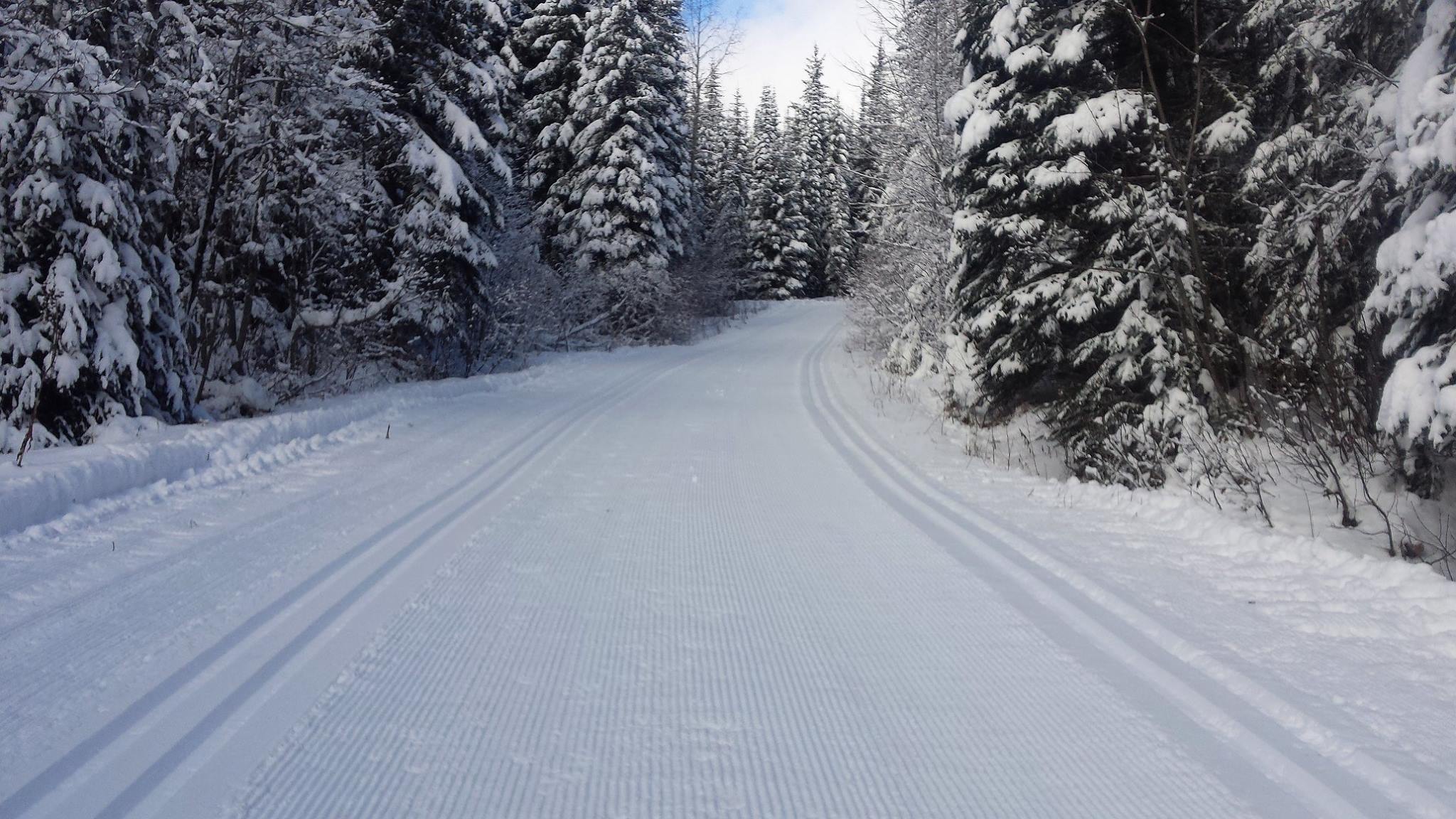FULL STEAM AHEAD: Nordic trails were looking great for Opening Day.