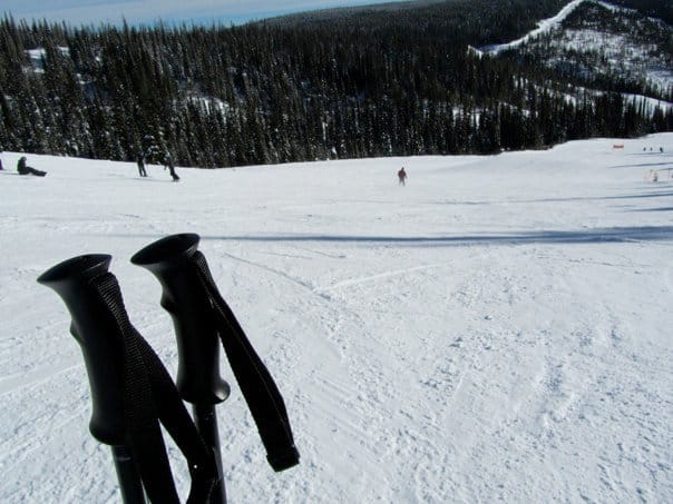 How to ski in powder, compact, slush or groomed snow