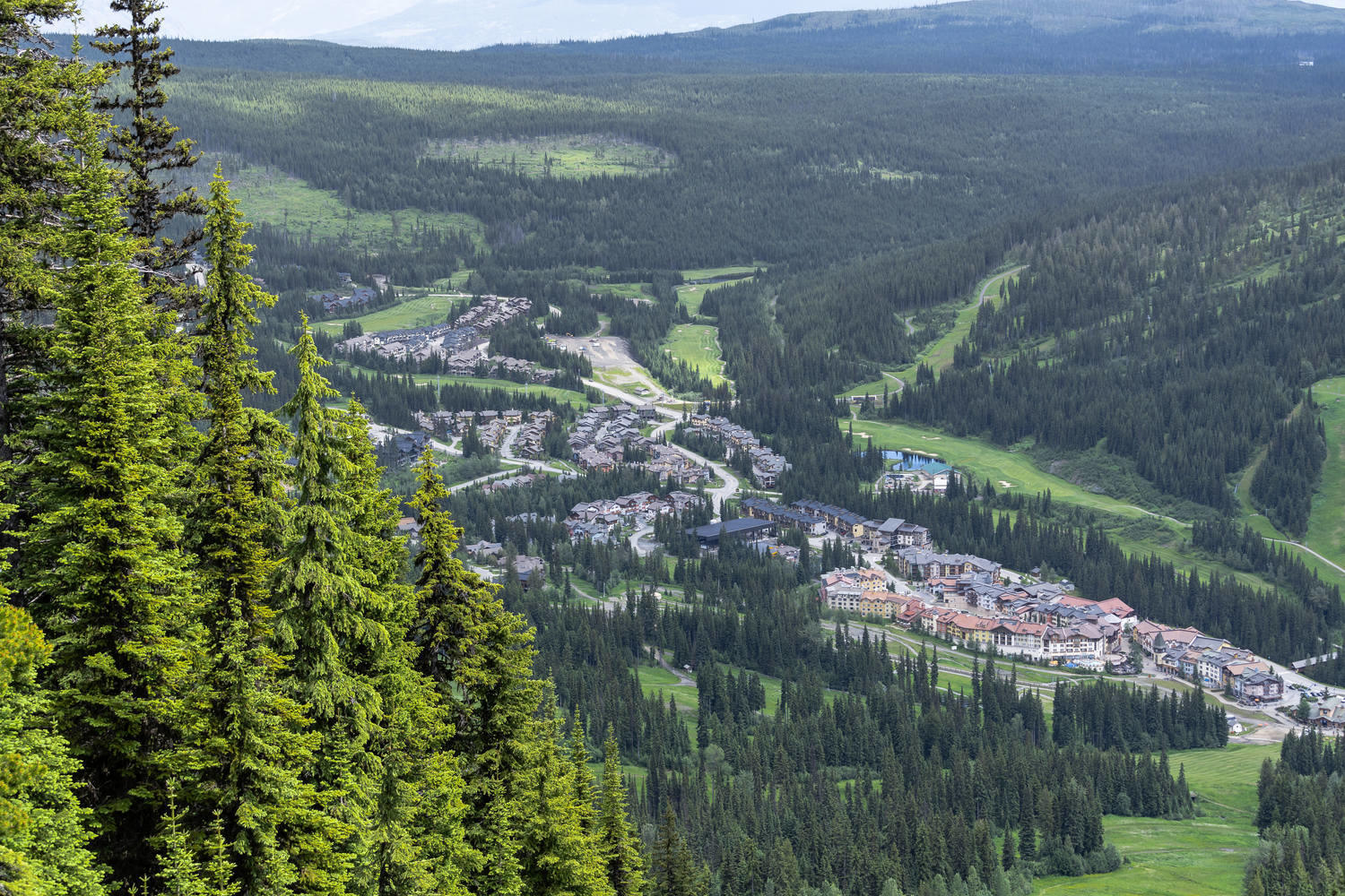 Sun Peaks village is in the distance and viewed from above. There are vibrant green trees in the foreground and surrounding the village. 