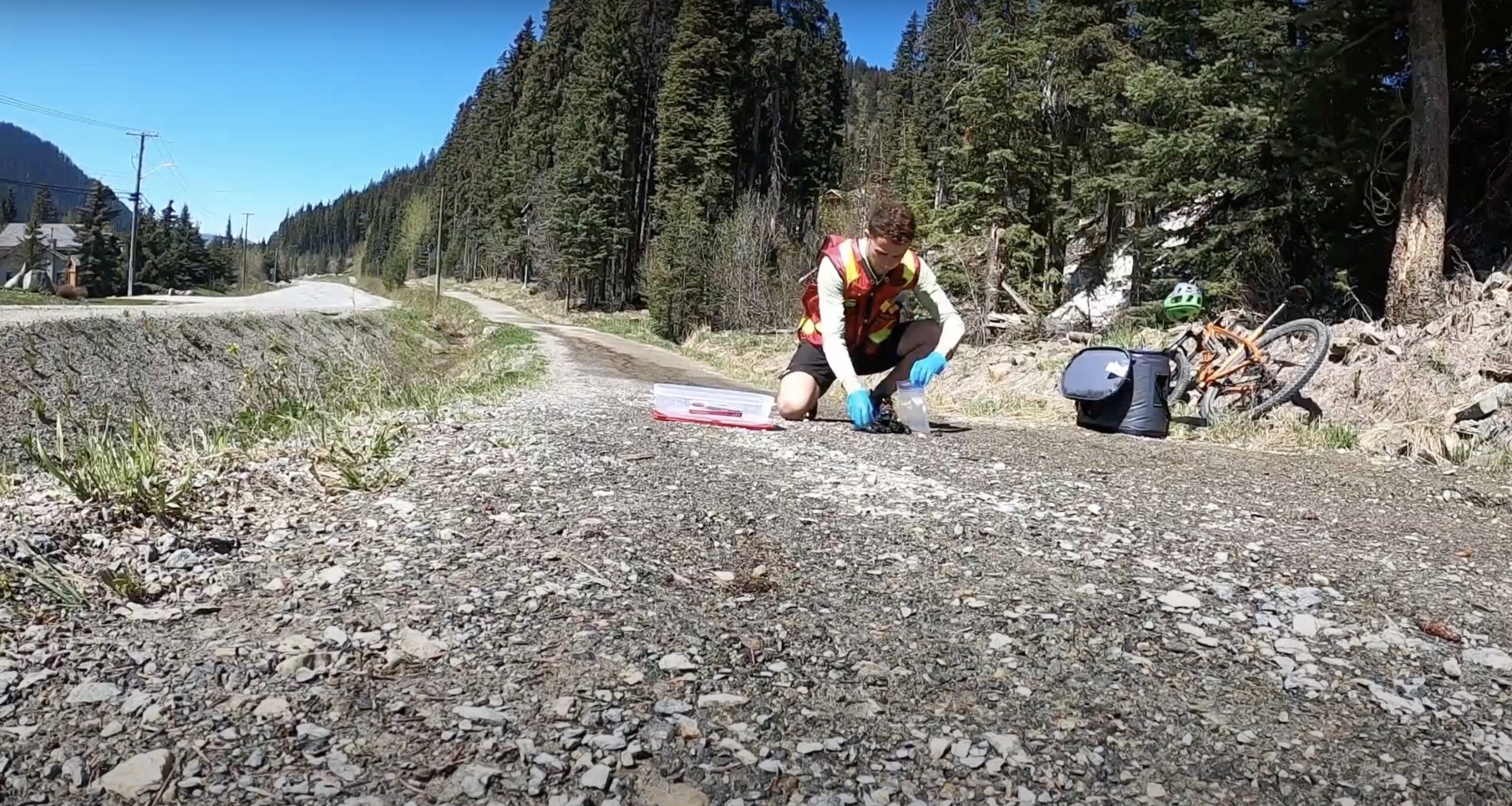 A man kneels down on a gravel path wearing a red and yellow vest. He has blue gloves on and picks up bear poo to put into a bag. A forest is beside him on the left side of path, and a village and road is on the right. A blue sky is in the background.