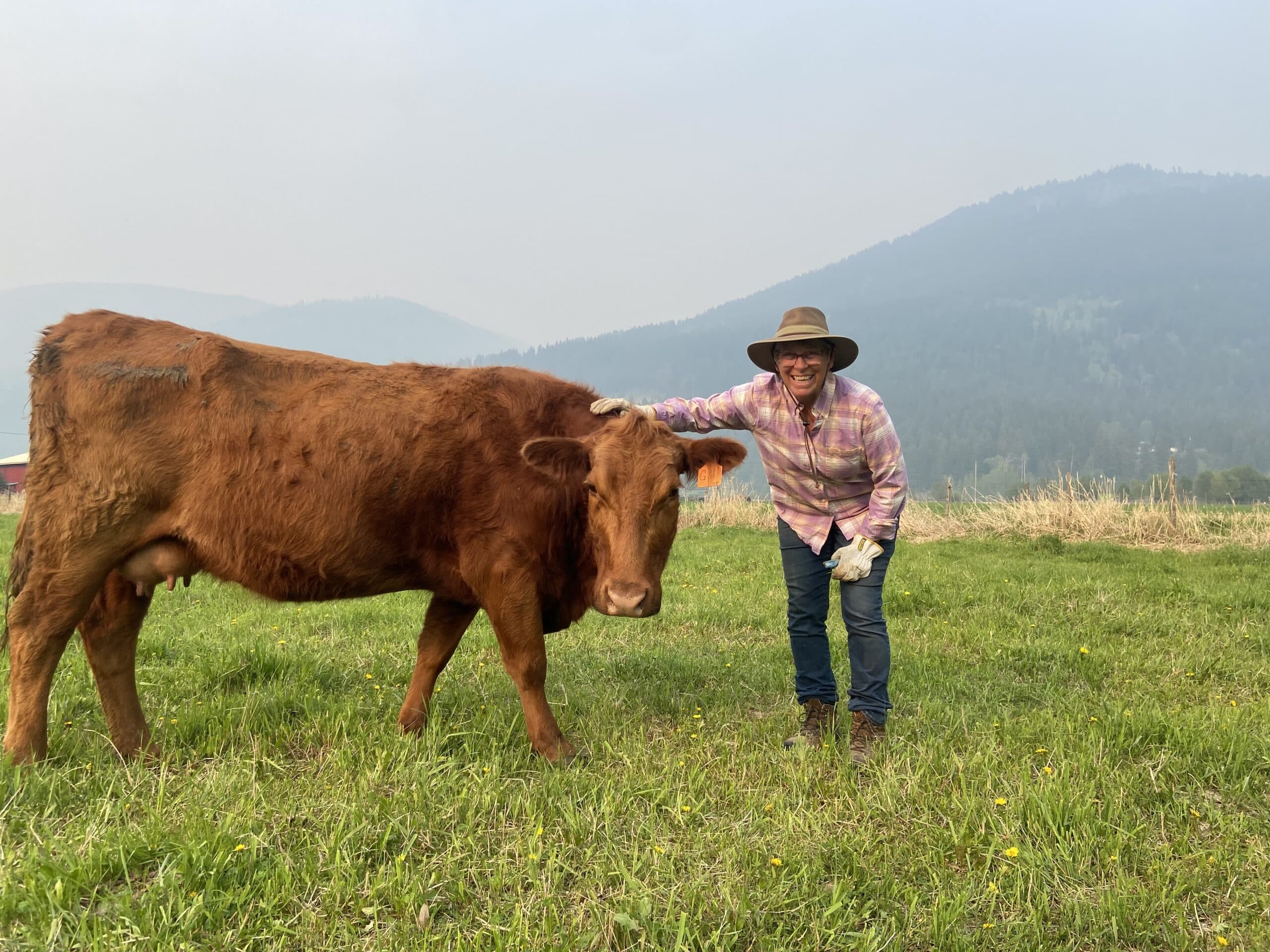 Joanne Nicklas stands in a field wearing a pink plaid shirt with mountains in the background. She has her hand on the back of a red, brown cow she is trying to make more resilient to heat due to climate change.