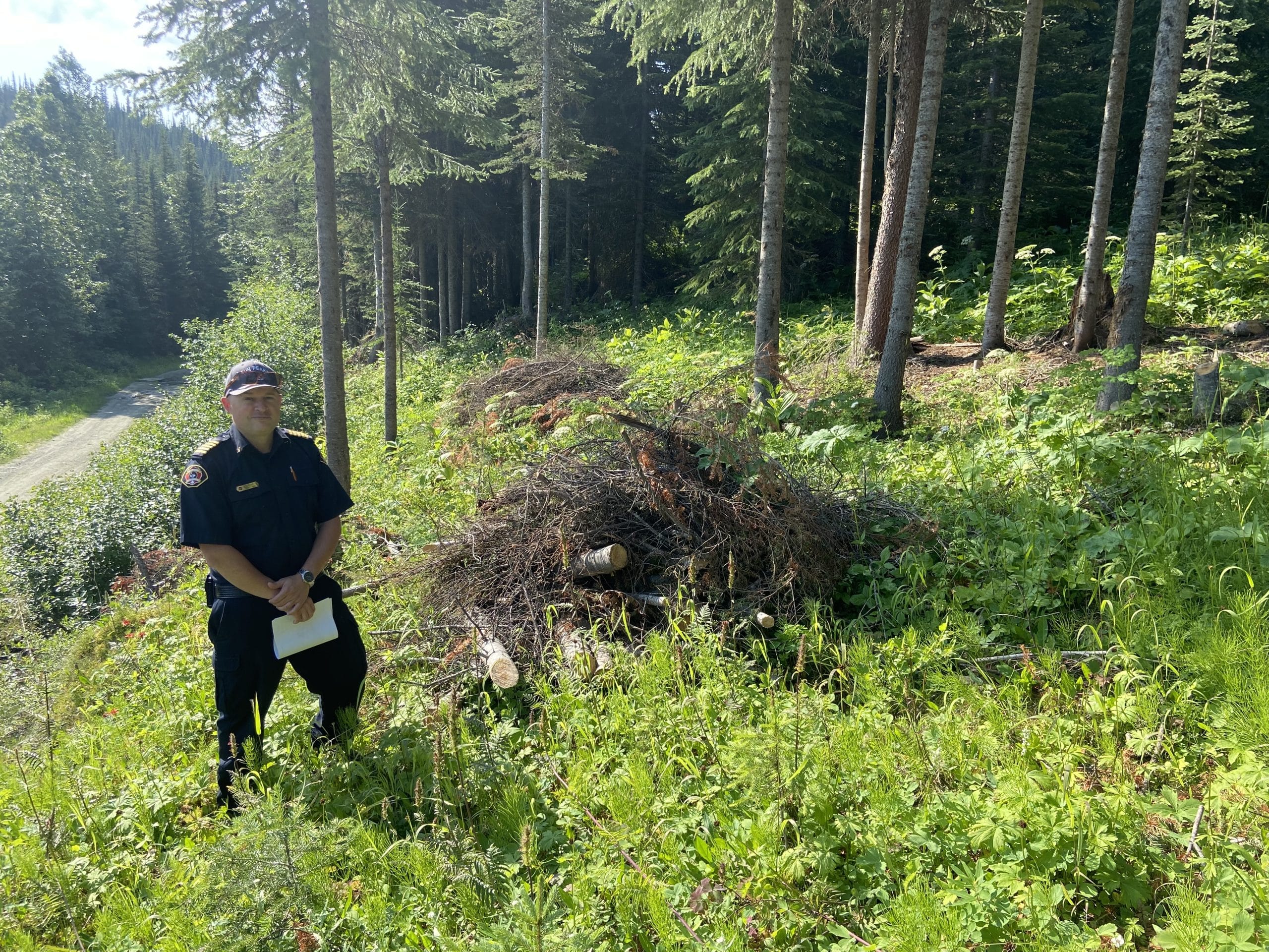 A man wearing a blue uniform and a ball cap stands outside on the left side of the image. /In the center is a pile of wood debris and theres green foliage all around him.A Thinned out forest is in the background.