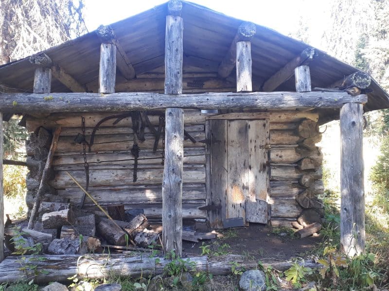 Historic Cabin on West Bowl part of Tod Mountain.