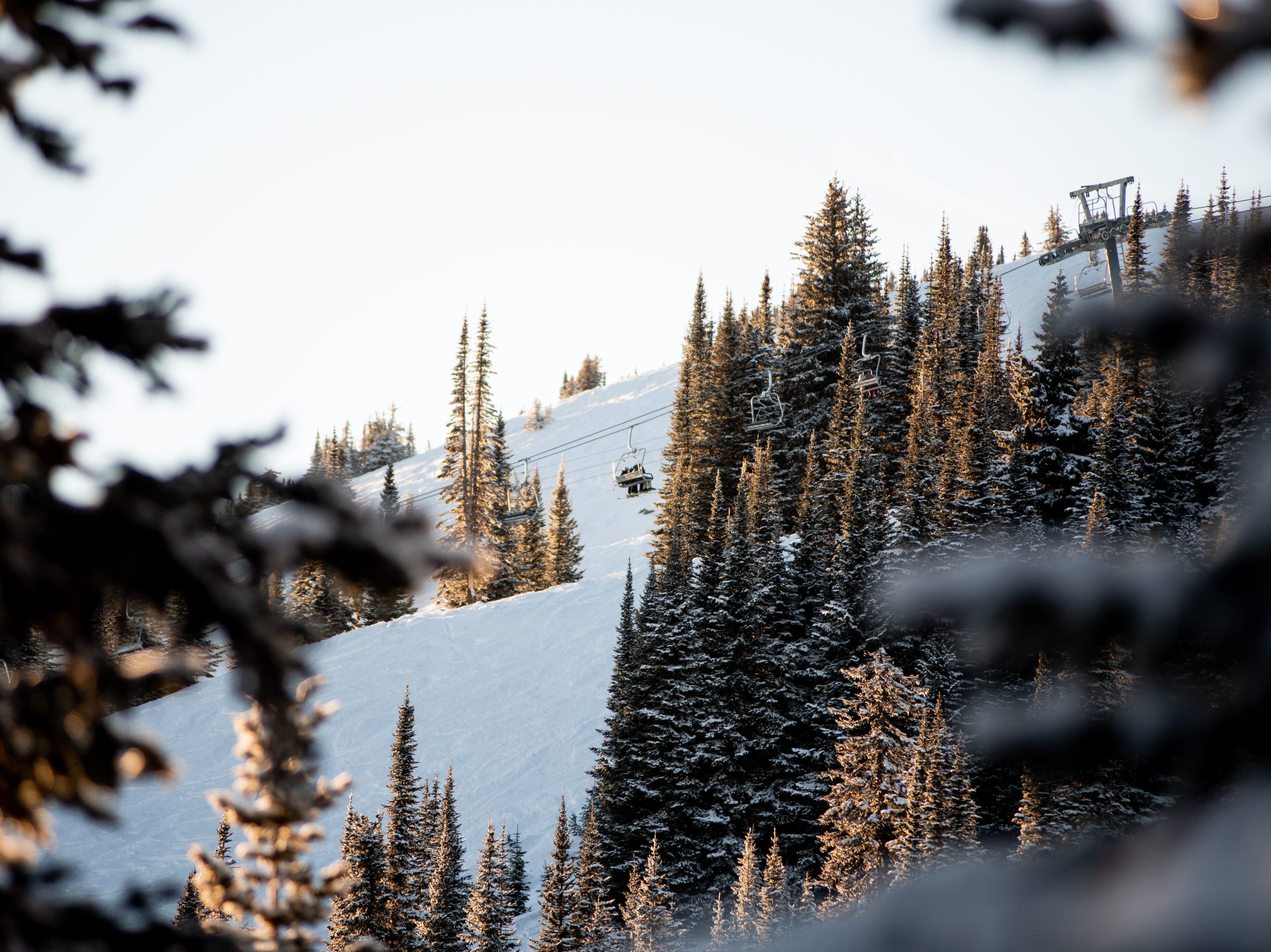 ski season